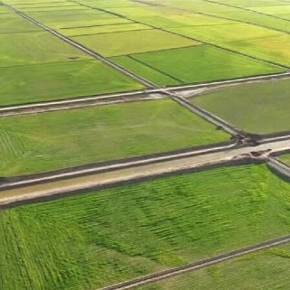 ۱۶۸ هزار هکتار از اراضی کشاورزی در مراغه ساماندهی شد