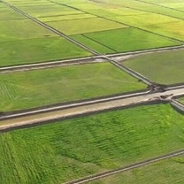 ۱۶۸ هزار هکتار از اراضی کشاورزی در مراغه ساماندهی شد