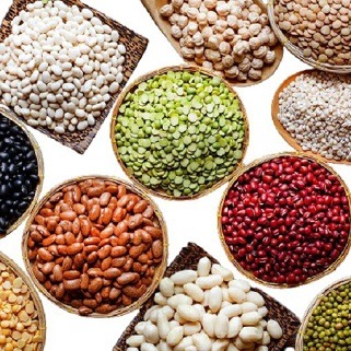 نگهداری از ۱۸۰۰ ژرم پلاسم لوبیا در مرکز تحقیقات خمین