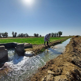 ارتقای بهره‌وری آب؛ محور اصلی صیانت از حقابه‌های کشاورزی خوزستان