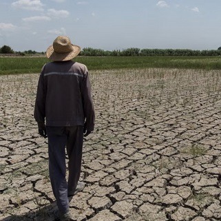 تعهدات ارزی و قوانین موجود تولید و صادرات کشاورزی را از رمق انداخته است