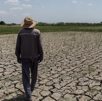 تعهدات ارزی و قوانین موجود تولید و صادرات کشاورزی را از رمق انداخته است