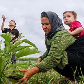 شناسنامه کاری برای بانوان کارآفرین روستایی تهیه می شود