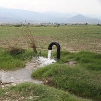 سهمیه آب ۱۹۵۴ حلقه چاه کشاورزی و صنعتی استان یزد تخصیص یافت