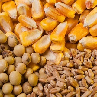 تامین نهاده های دامی با وجود محاصره دریایی در حال انجام است