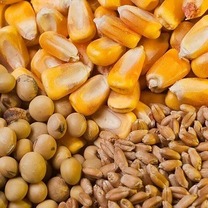 تامین نهاده های دامی با وجود محاصره دریایی در حال انجام است