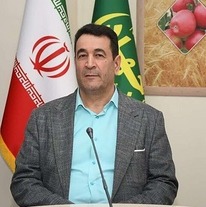 محلول‌پاشی راهکاری کمکی برای افزایش مقاومت درختان در برابر سرما