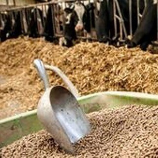 قیمت‌گذاری سبوس توافقی است/ عرضه از طریق سامانه بانک سپه