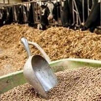 قیمت‌گذاری سبوس توافقی است/ عرضه از طریق سامانه بانک سپه