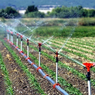 مصرف آب در مزارع با اجرای طرح جدید کشاورزی ۳۰ درصد کاهش می یابد