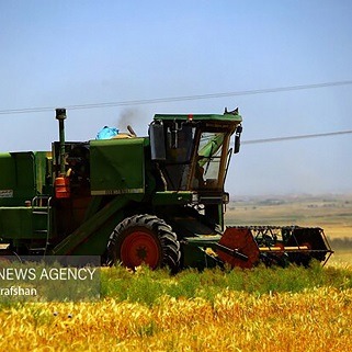 آغاز برداشت مکانیزه شالی در ساری
